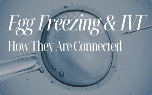 Egg Freezing and IVF: How They Are Connected and What You Should Know