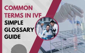 Common Terms in IVF: A Simple Glossary Guide for Beginners